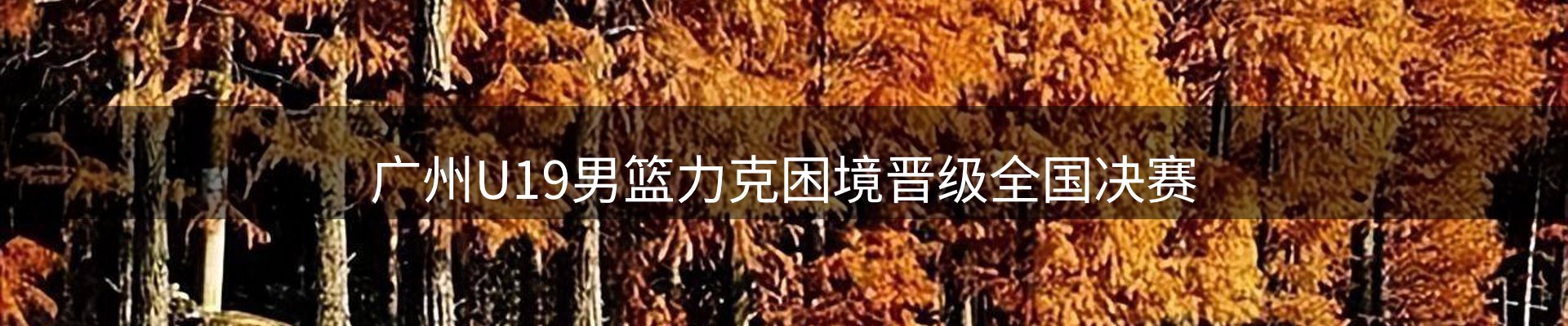 最新资讯