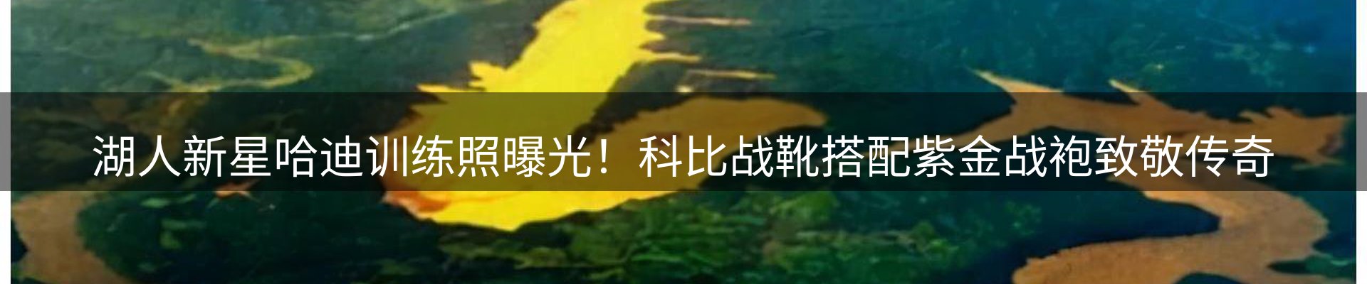 最新资讯