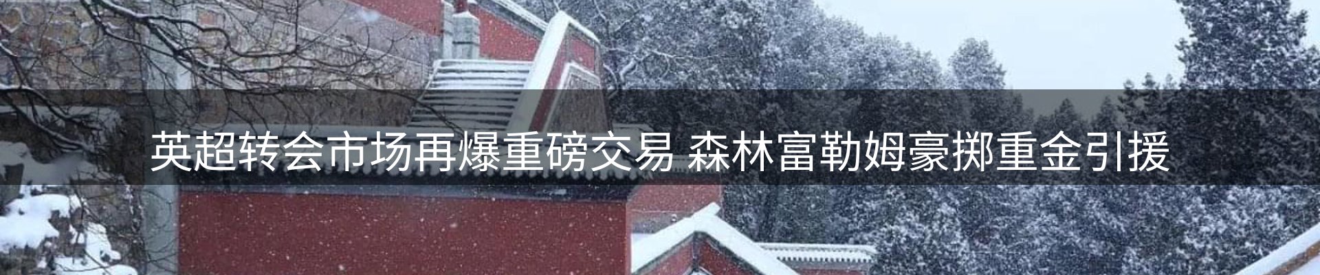 最新资讯